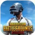 pubgmobile(ʷ)