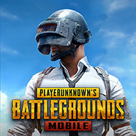 pubgʷ