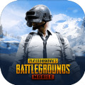 PUBG(ʷ)2.0  v2.8.0