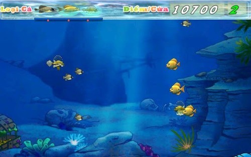1623913495656583