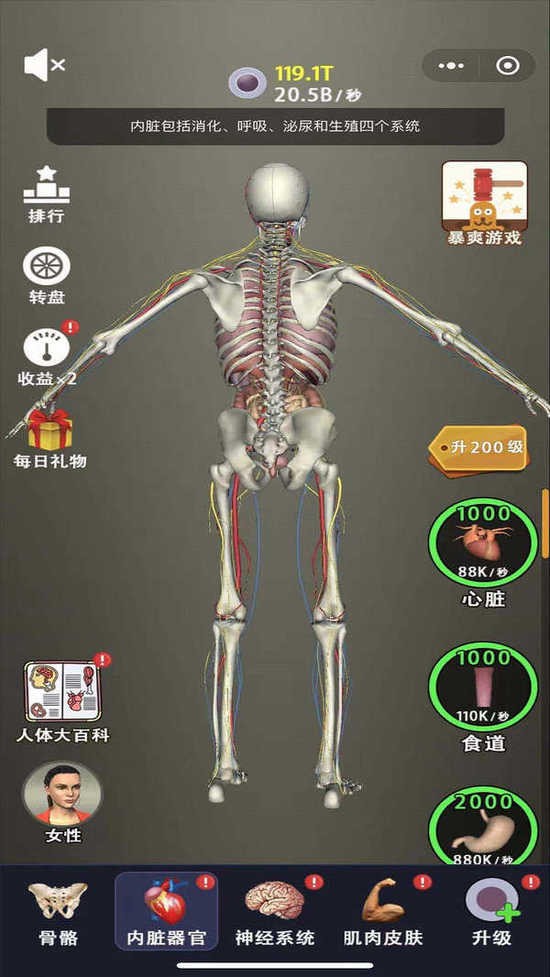 Ҫֻ