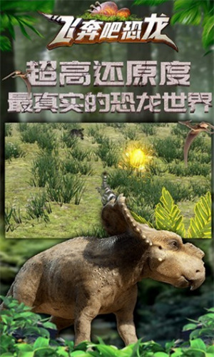 20230117053124514