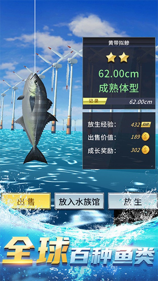 ֵ2024°汾