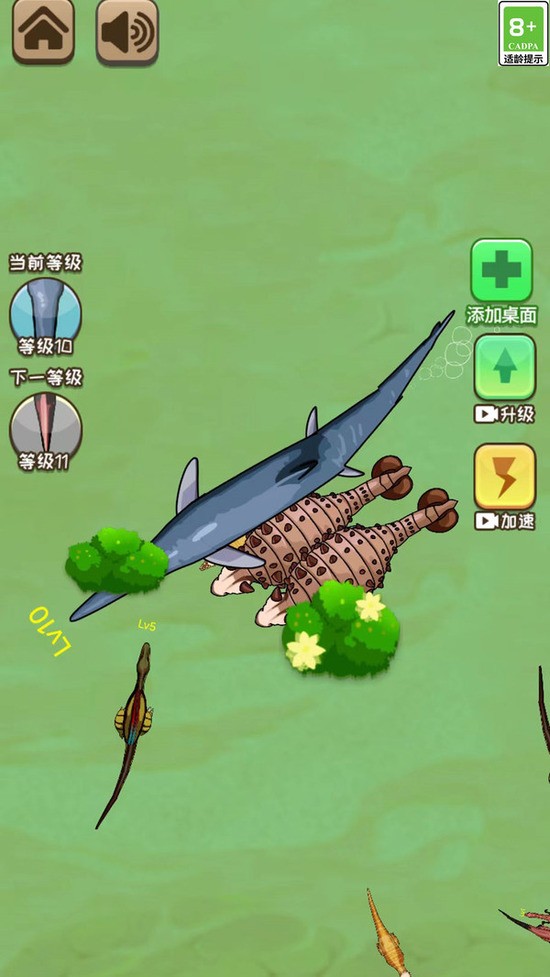 ޽ʯƽ