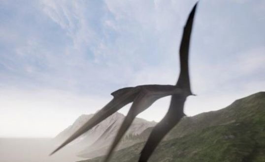 theisleʽٷ