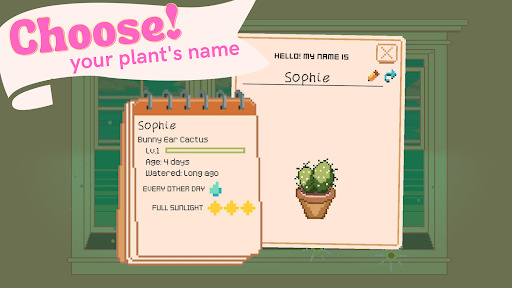 ߻԰WindowGarden