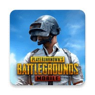 pubgʷ