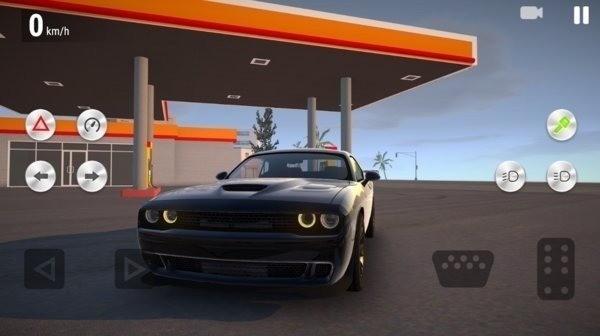 ʵʻѧУϷ2025İ