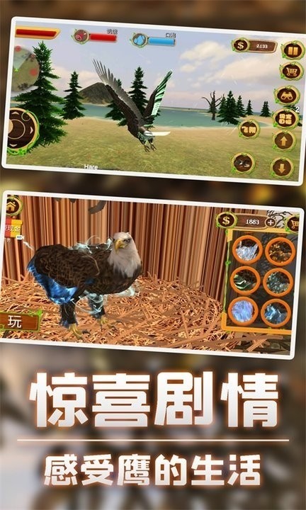 ӥģ3D°汾_ӥģ3D°v1.0