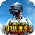 pubgʷذװ