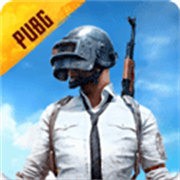pubgʷ