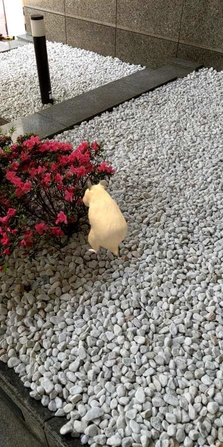 \