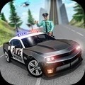 警察行动