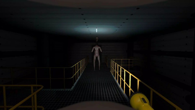 ˾